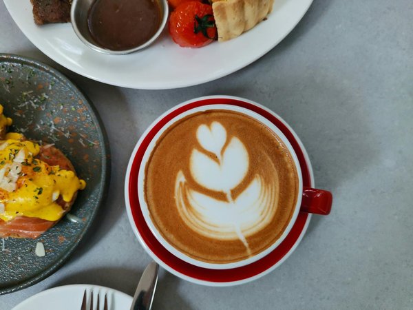 Coiffeur bio à Bordeaux : révéler votre beauté naturelle en toute éthique
